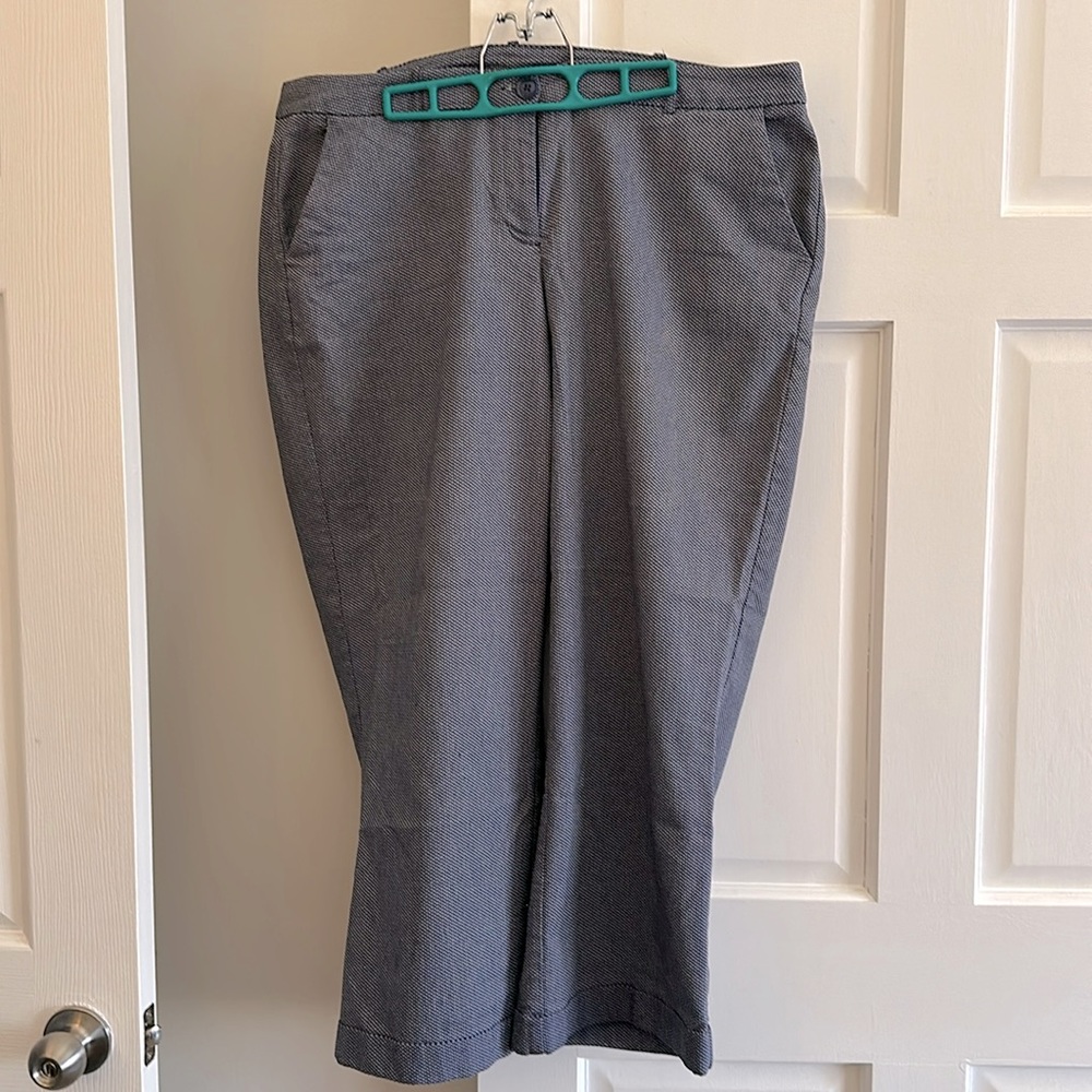 Lane Bryant Slacks
